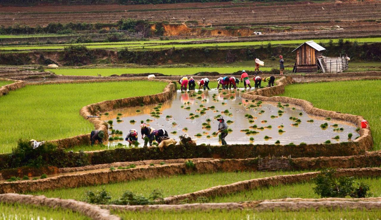 Mu Cang Chai Eco Lodge Nam San Kültér fotó