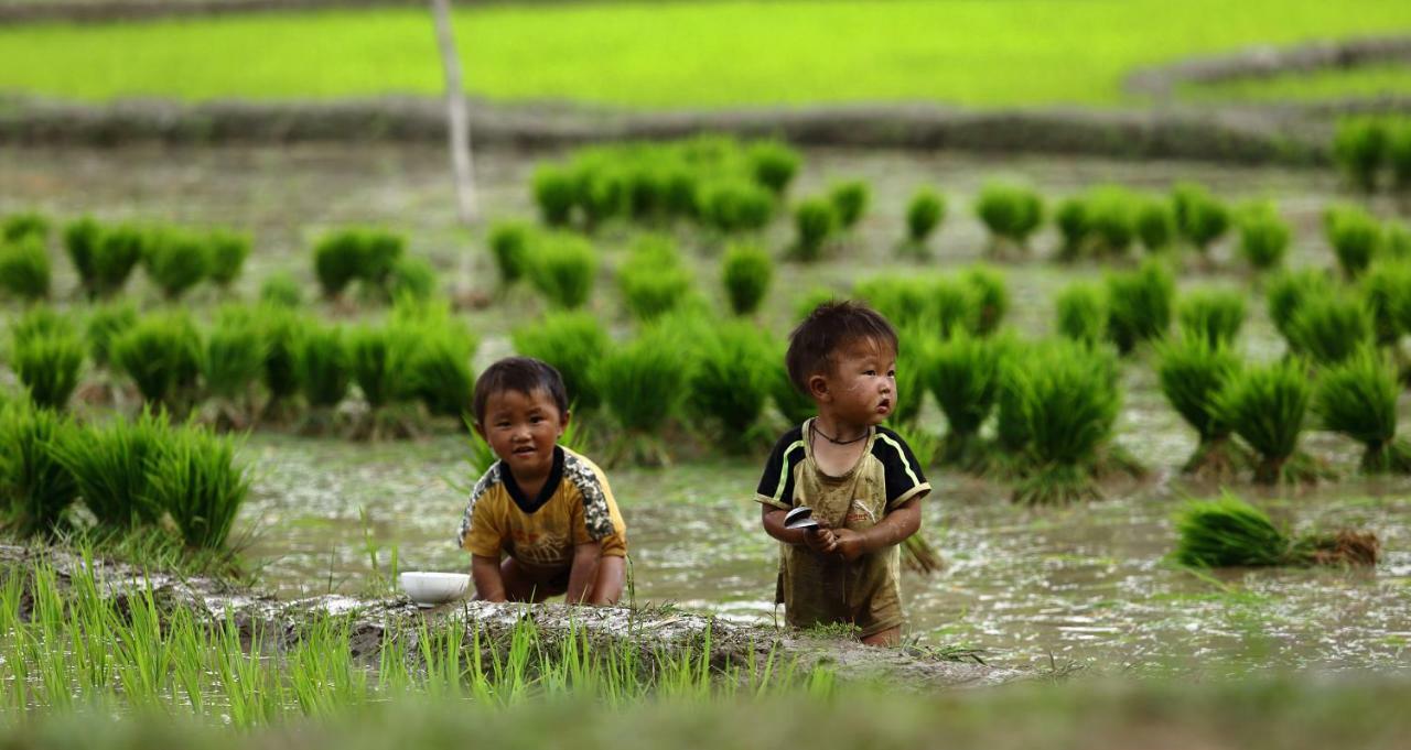 Mu Cang Chai Eco Lodge Nam San Kültér fotó