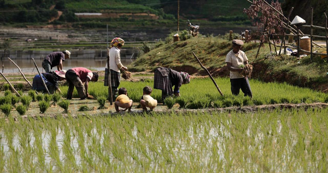 Mu Cang Chai Eco Lodge Nam San Kültér fotó