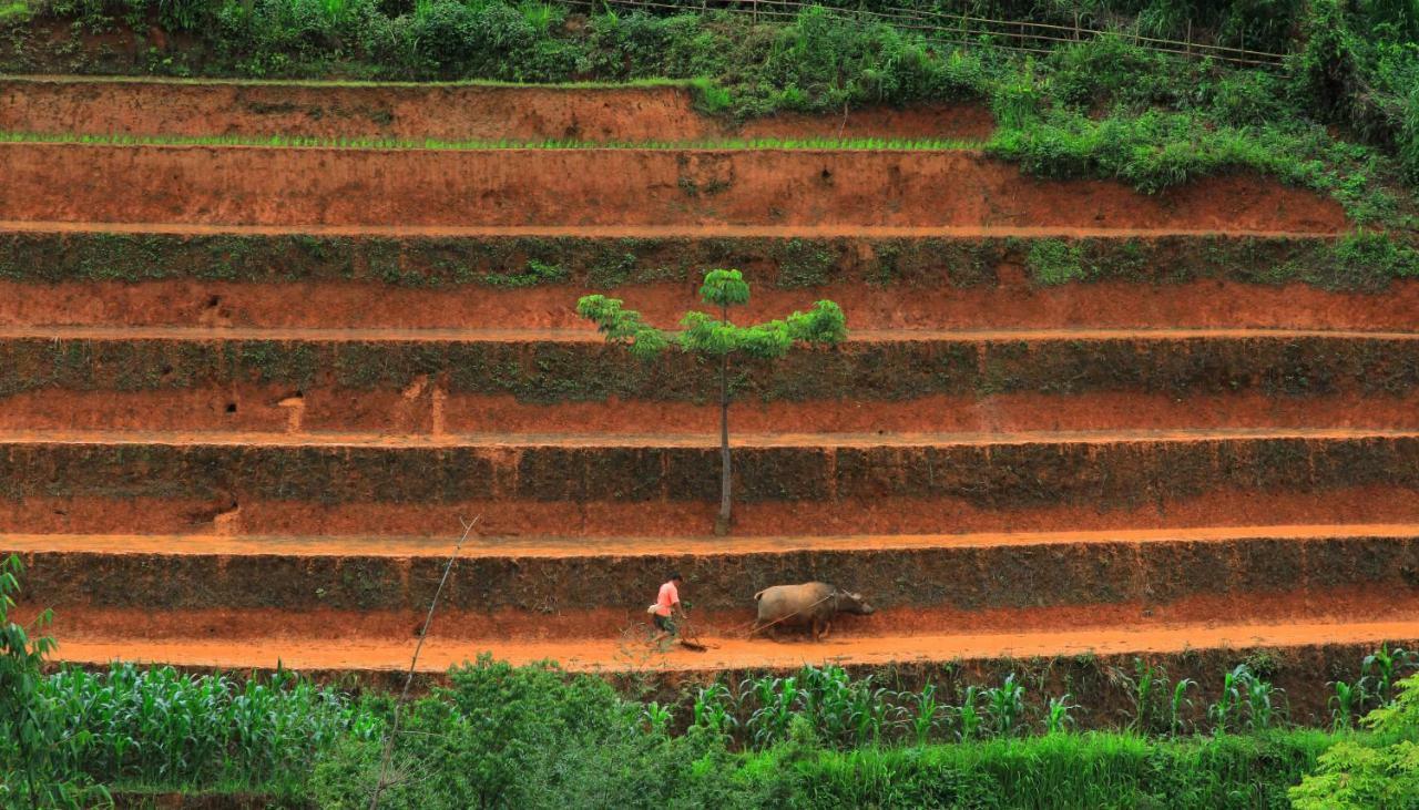 Mu Cang Chai Eco Lodge Nam San Kültér fotó