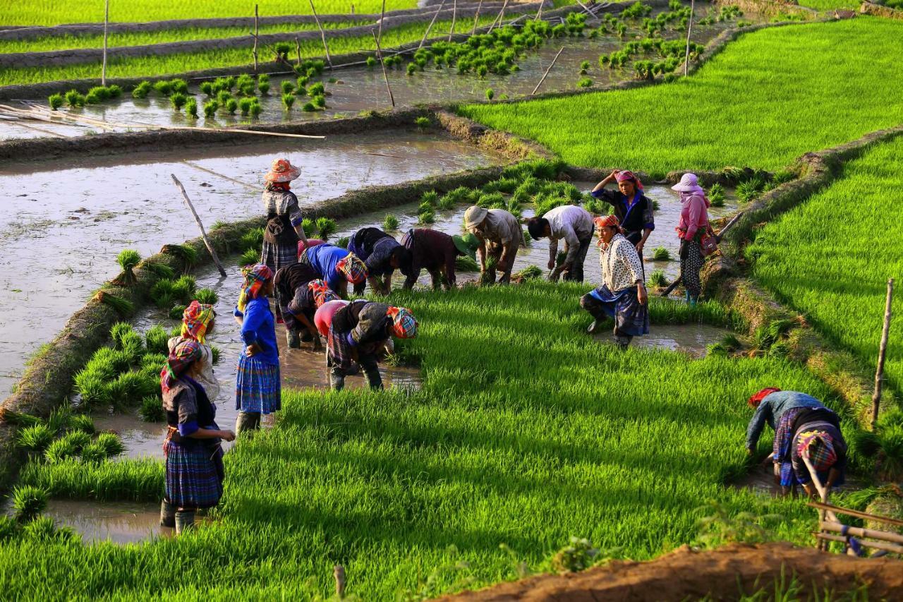 Mu Cang Chai Eco Lodge Nam San Kültér fotó